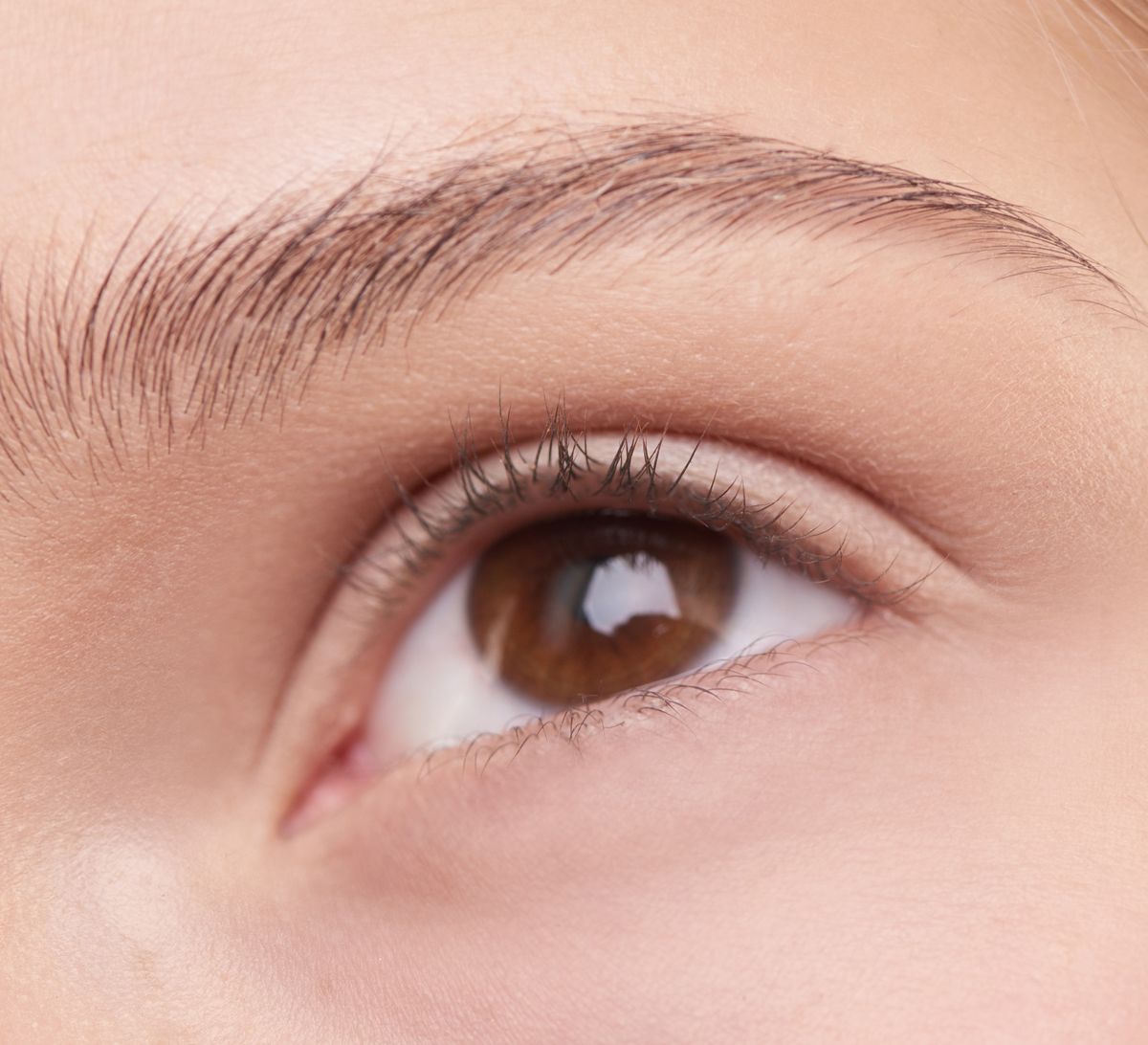 How Do Brow Lift Procedures Differ?
